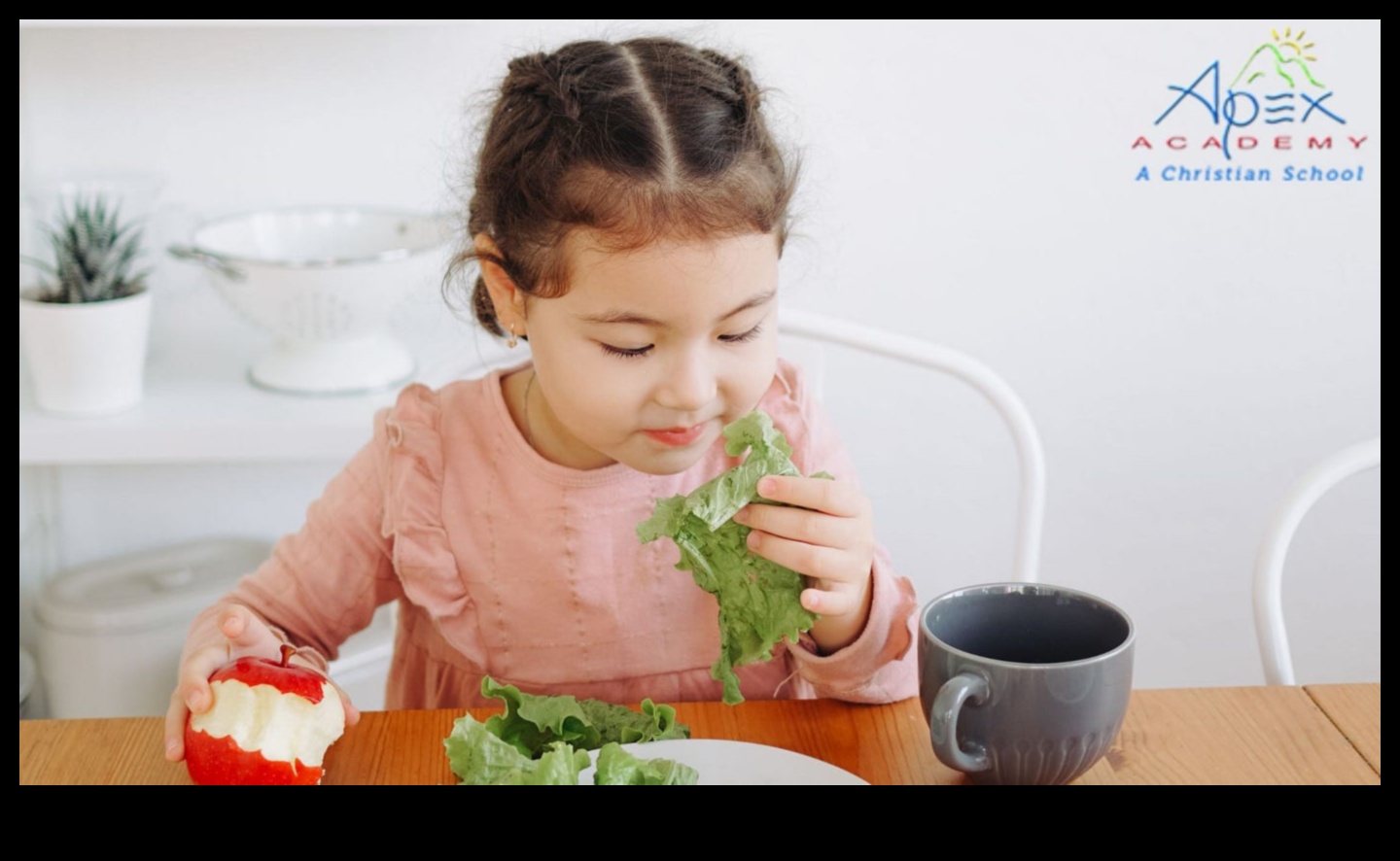 Hrana pentru bebelusi, bogata in nutrienti, pentru un inceput sanatos 3 Minuni sănătoase: hrană pentru bebeluși bogată în nutrienți pentru sănătate