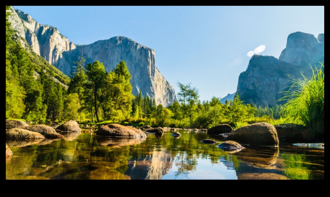 Ce rol joacă parcurile naționale în conservarea peisajelor naturale?