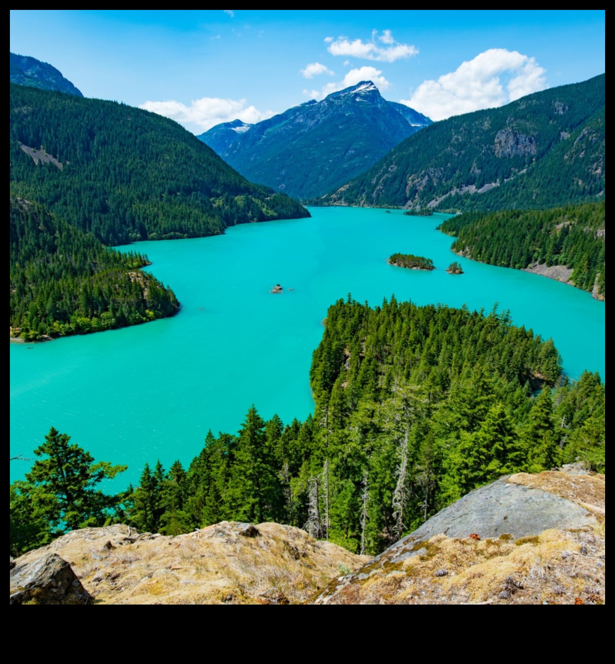 Ce rol joacă parcurile naționale în conservarea peisajelor naturale?