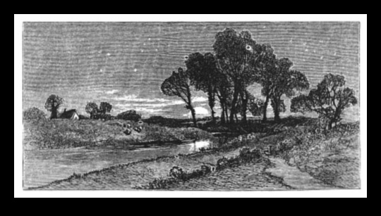 Cerul de noapte O pânză pentru imaginație 4 Pajiști luminate de lună: peisaje eterice sub cerul nopții