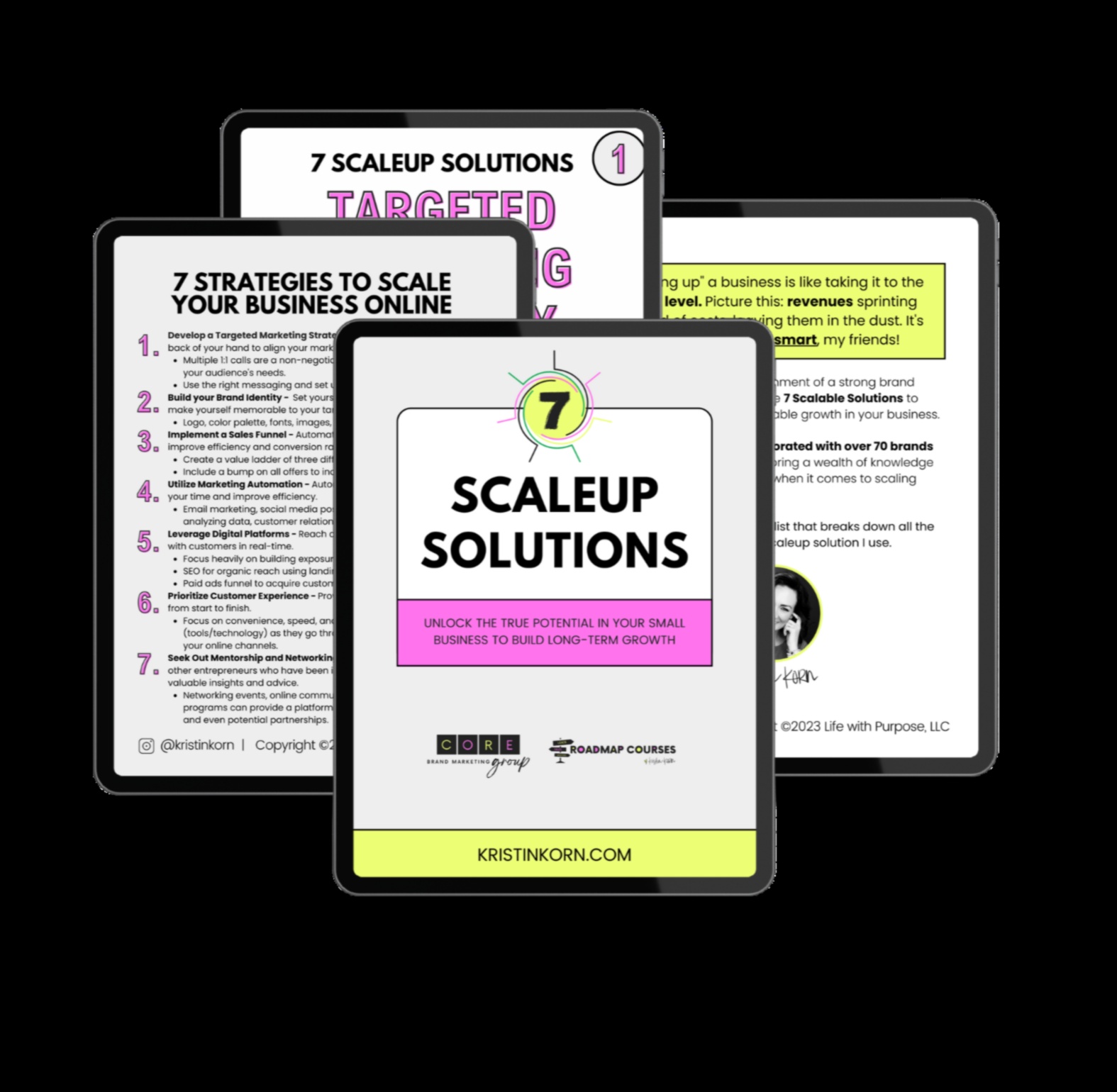 Extindeți-vă afacerea cu aceste 7 strategii pentru excelență 3 Scaling Excellence: Strategii pentru dezvoltarea afacerii dvs