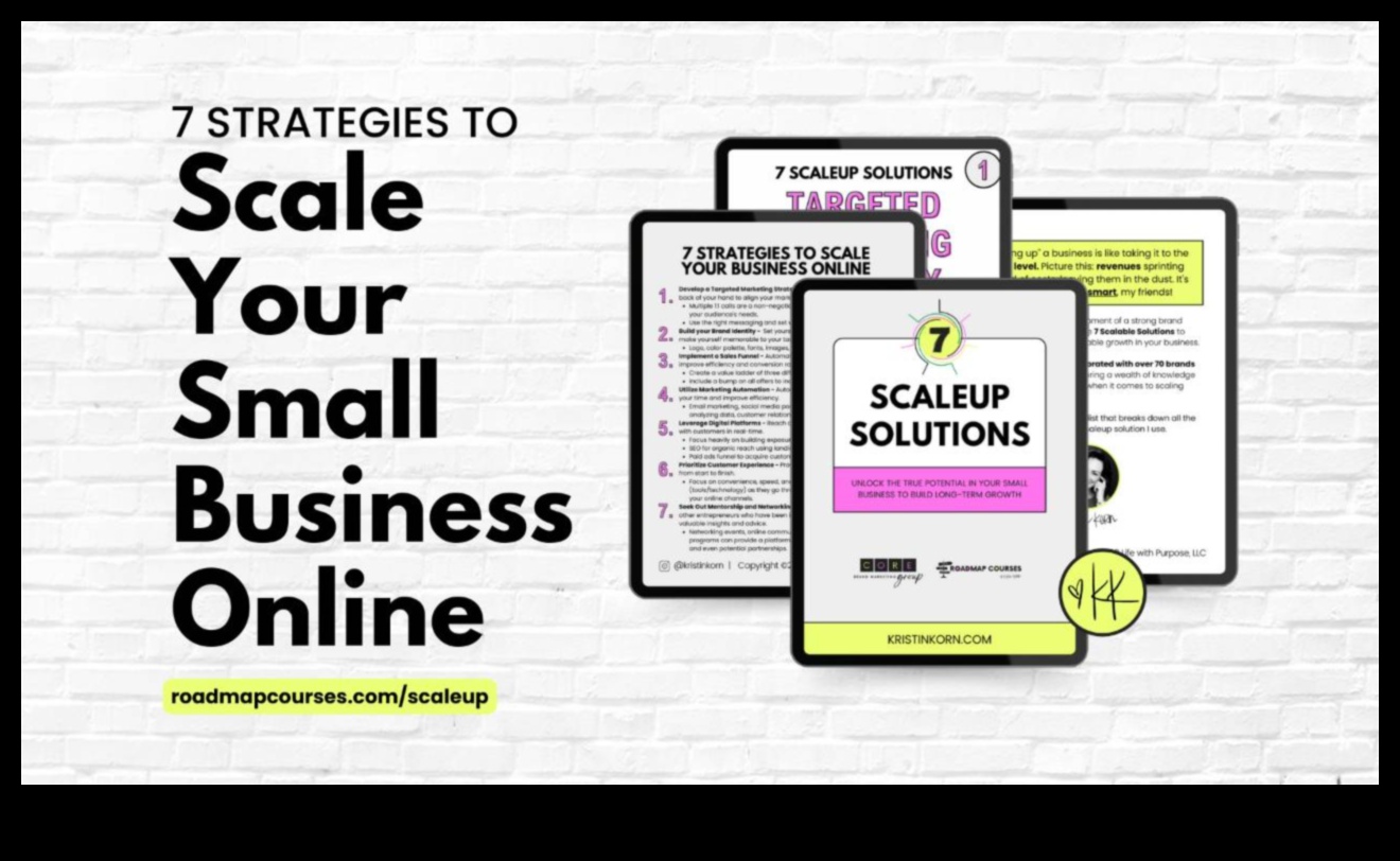 Extinde-ți afacerea cu aceste 7 strategii pentru excelență 2 Scaling Excellence: Strategii pentru dezvoltarea afacerii dvs