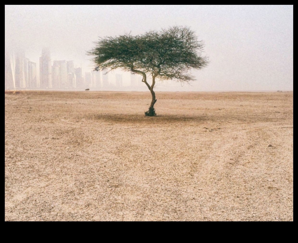 Conservarea solului o cheie pentru durabilitatea peisajului 2 Cum influențează diferitele metode de conservare a solului durabilitatea peisajelor?