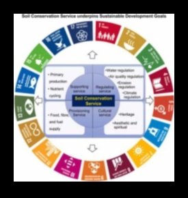 Conservarea solului o cheie pentru durabilitatea peisajului 3 Cum influențează diferitele metode de conservare a solului durabilitatea peisajelor?