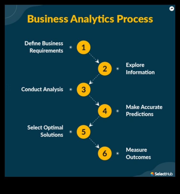 Inception to Impact: A Guide to Strategic Business Analytics Excellence