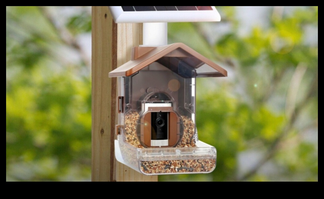 Mama expertă în tehnologie: gadgeturi pentru a impresiona de Ziua Mamei