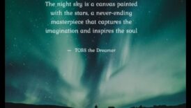 Pajiști luminate de lună: peisaje eterice sub cerul nopții