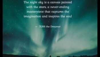 Pajiști luminate de lună: peisaje eterice sub cerul nopții