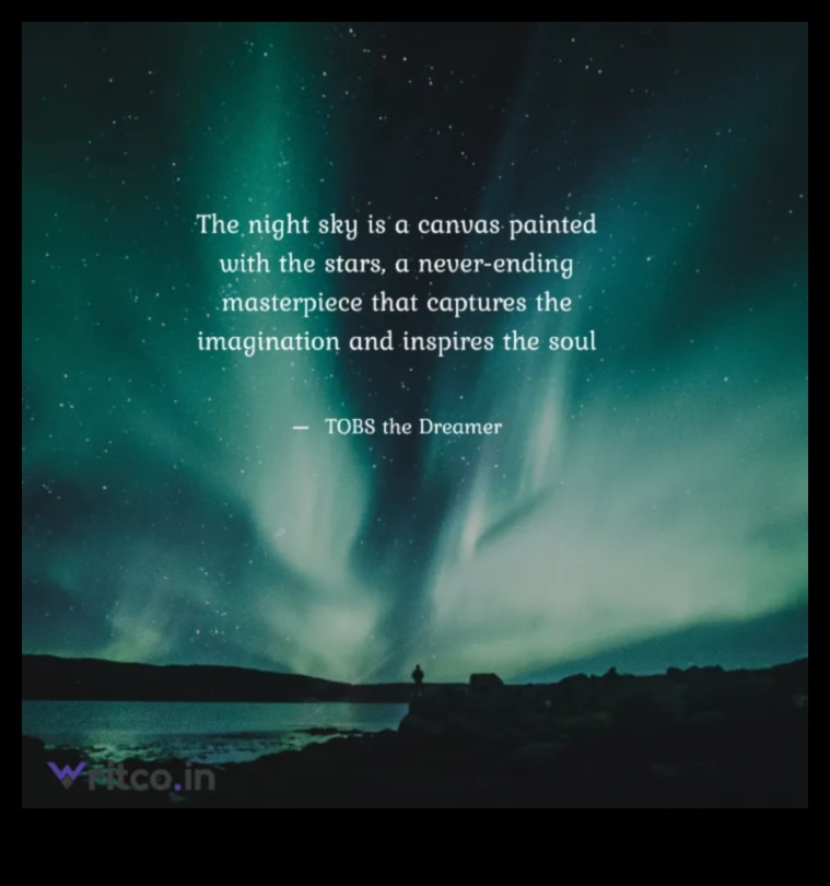 Cerul de noapte O pânză pentru imaginație 1 Pajiști luminate de lună: peisaje eterice sub cerul nopții