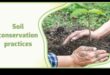 Cum influențează diferitele metode de conservare a solului durabilitatea peisajelor?