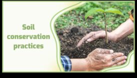 Conservarea solului o acordor contra durabilitatea peisajului 4 Cum influențează diferitele metode de conservare a solului durabilitatea peisajelor?