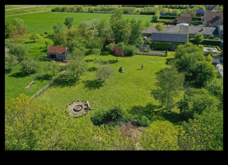 Livada Un loc de pace și liniște 5 Livezile în fiecare anotimp: farmecul peisajelor roditoare