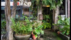 Parcuri și grădini: oază de verde în peisaje urbane