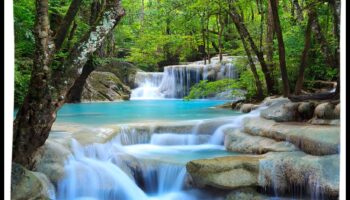 De ce râurile și lacurile sunt componente esențiale ale peisajelor acvatice?