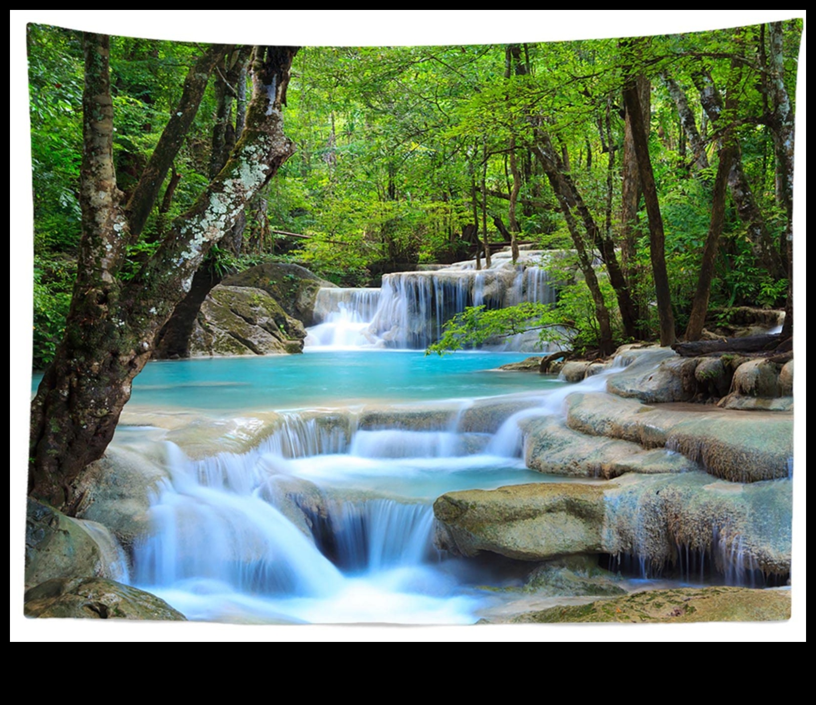 Tapiserii naturii râurilor și lacurilor 1 De ce râurile și lacurile sunt componente esențiale ale peisajelor acvatice?