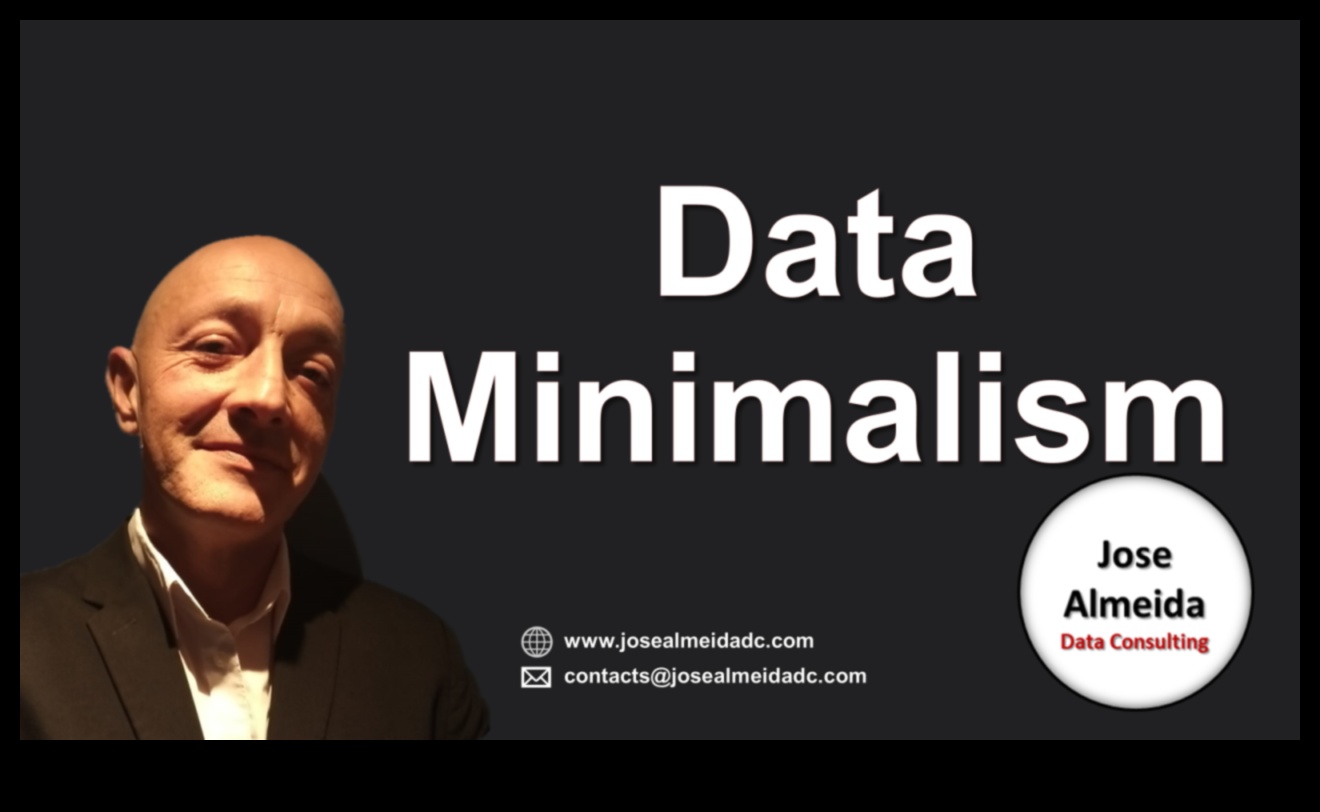 Stăpânirea minimalismului datelor Cum să-ți eficientizezi datele pentru un impact maxim 1 Stăpânirea minimalismului datelor: eficientizarea soluțiilor pentru un impact maxim