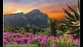 Wanderlust Bucuria de a cerceta calitate 3 Eleganța pământească dezvăluită: o vitrină a peisajelor uluitoare ale naturii