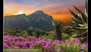 Eleganța pământească dezvăluită: o vitrină a peisajelor uluitoare ale naturii